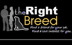 Animal Lovers Finally Have Their Own Online Dating Site - PR.