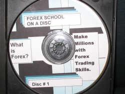 college student forex trader certification